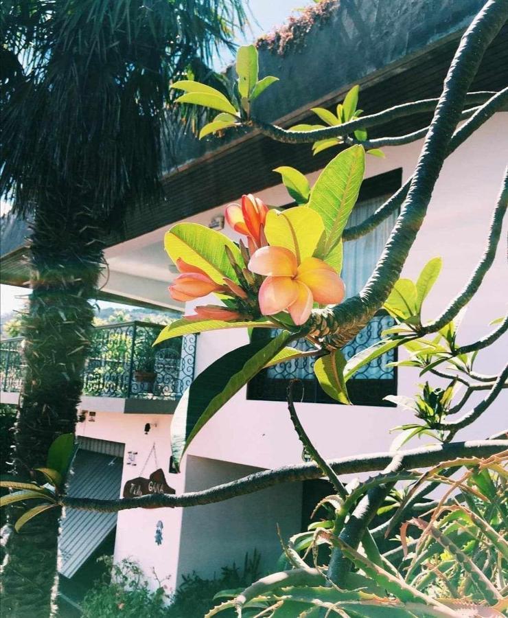 Vila Gama Apartamentos Rodeados De Natureza Машику Экстерьер фото